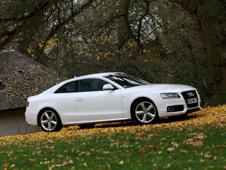  Audi A5 Coupe 3.0 TDI Quattro 2007 года  (фото 32 из 38)